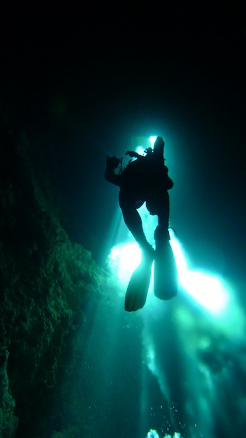 sCuba Diving с Дм.Холоденко!