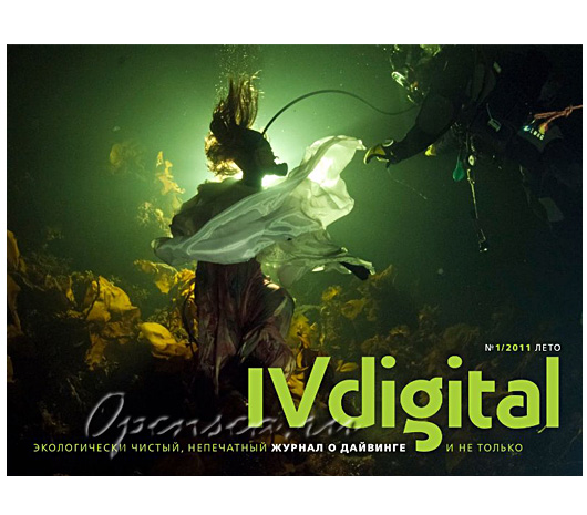 IV digital №1