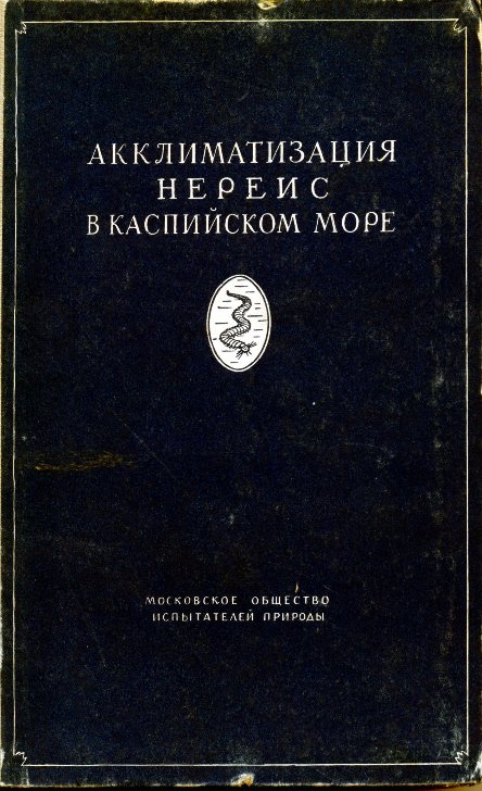 Нереис