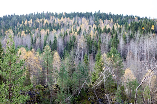 МК 15-16.10.2011