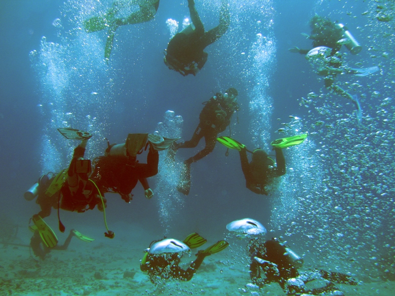 Дурдом 2011 Дурдом 2011