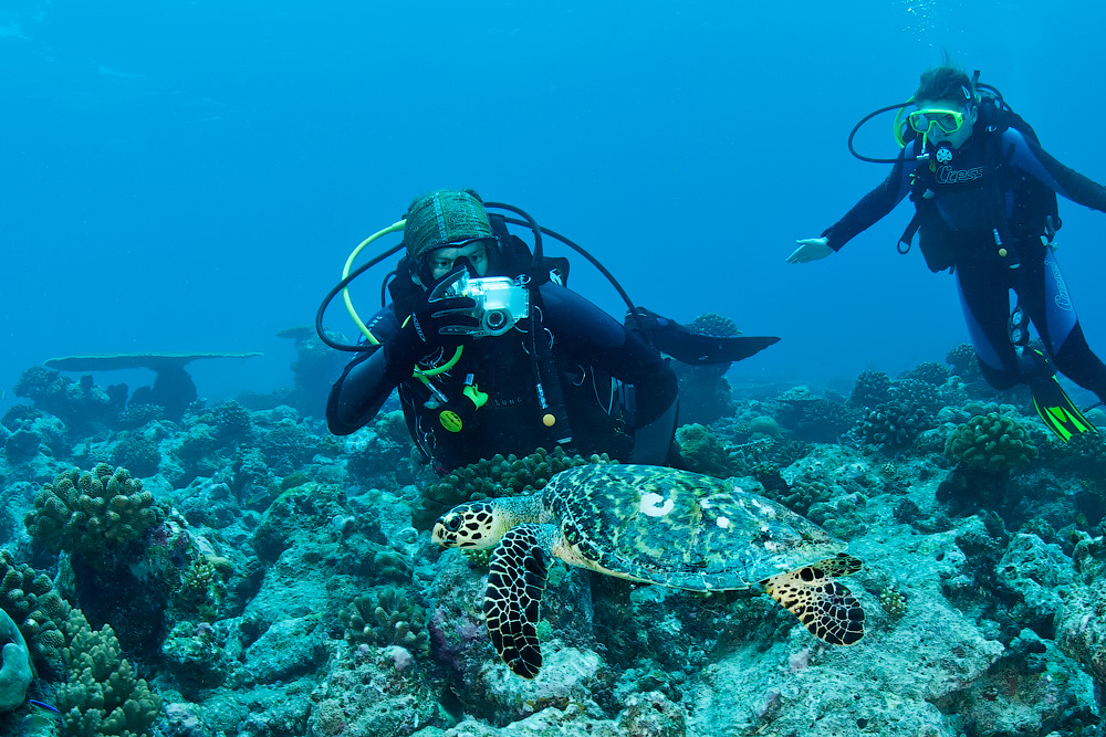 Мальдивы, Carpe Vita, ноябрь 2011 Мальдивы, Carpe Vita, ноябрь 2011