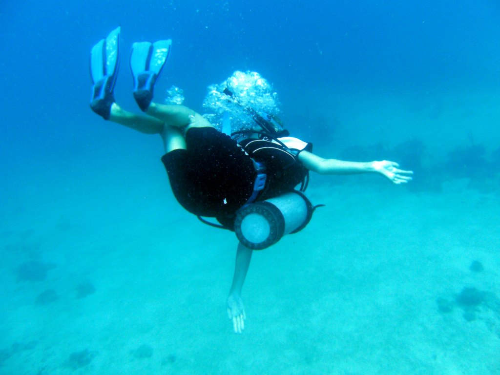 День Мирового Океана в Бока Чике. Доминикана День Мирового Океана в Бока Чике. Доминикана