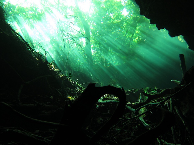 MegaDive.Club в Мексике! Ноябрь 2011