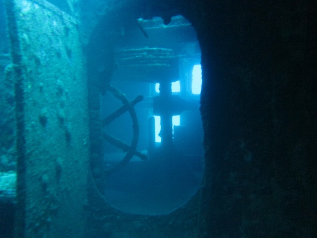 MegaDive.Club в Мексике! Ноябрь 2011