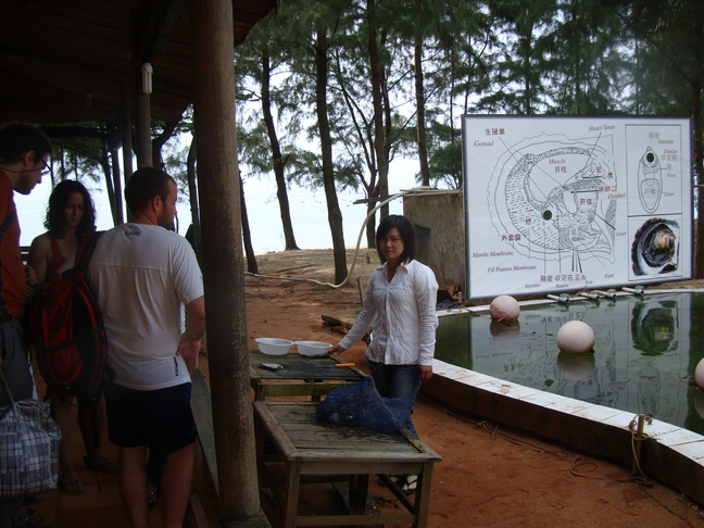 Phu-Quoc жемчужная фабрика Phu-Quoc жемчужная фабрика