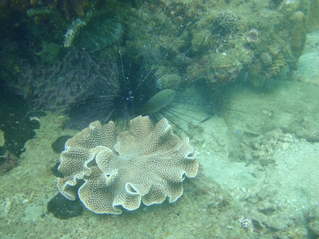 Phu-Quoc