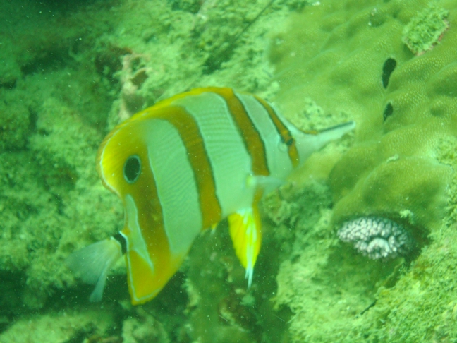 Phu-Quoc