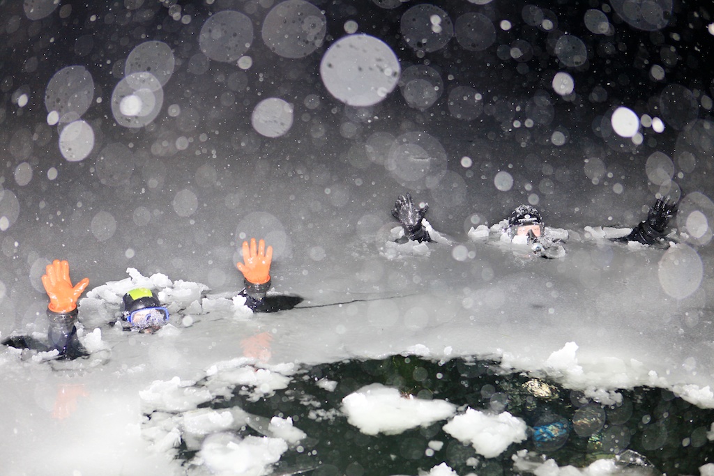 нет повода не выпить!!! НГ MegaDive! нет повода не выпить!!! НГ MegaDive!