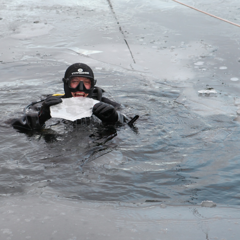 нет повода не выпить!!! НГ MegaDive! нет повода не выпить!!! НГ MegaDive!