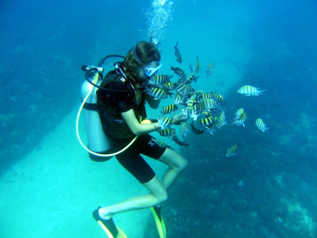 Юниор-бади Тамила Юниор-бади Тамила