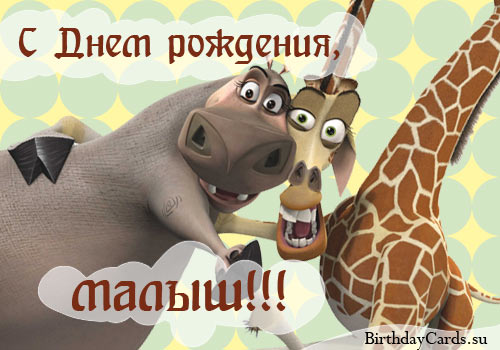 СДР