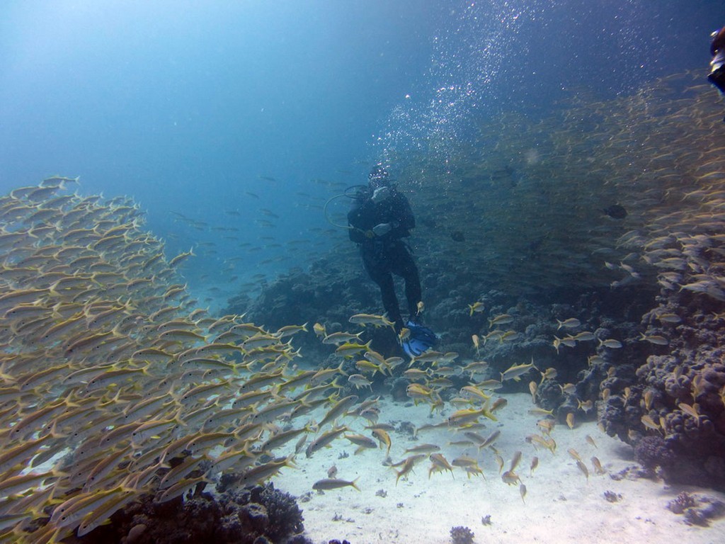 Хургада январь 2012 Хургада январь 2012