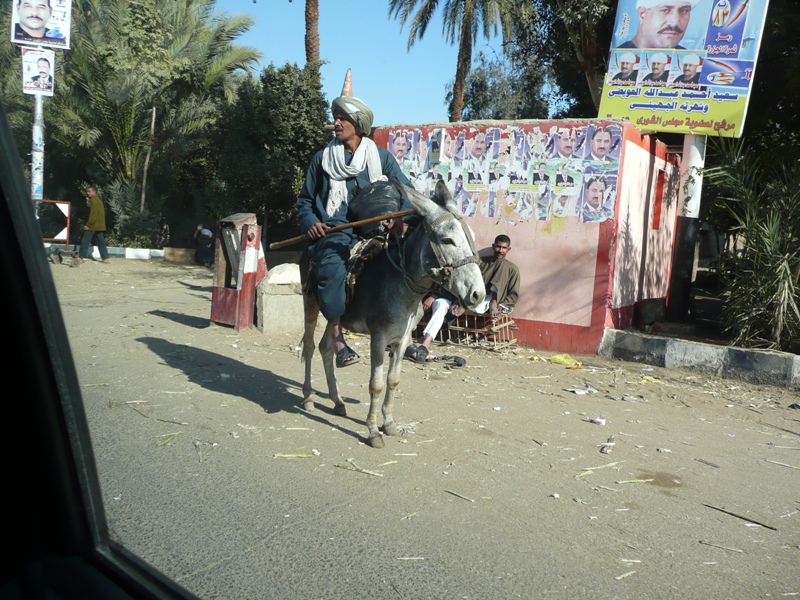 ишачок2 ишачок2