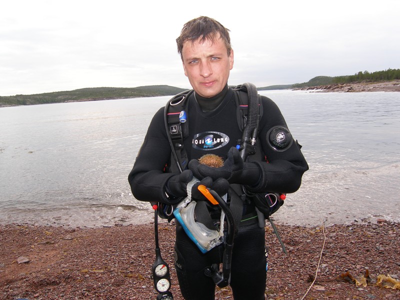 Белое море, Август 2006
