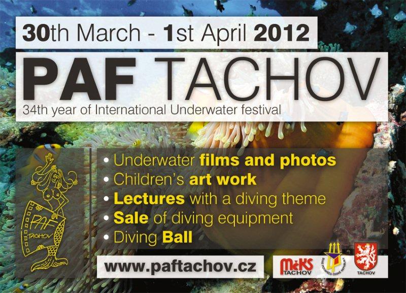 Фестиваль в Тахове. Фестиваль в Тахове.