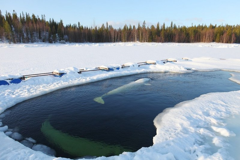 Белое море. Полярный Круг