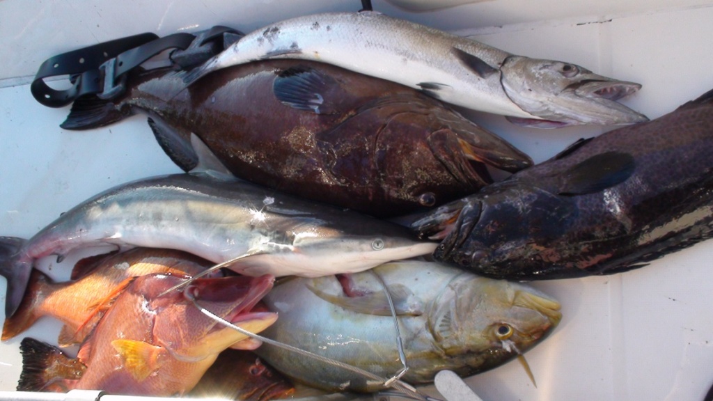 Добыча на Кубе Добыча на Кубе