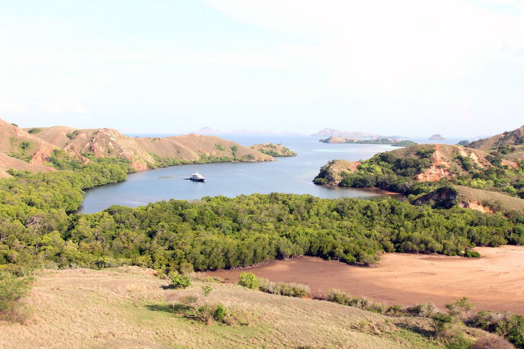 Комодо 2011 Комодо 2011