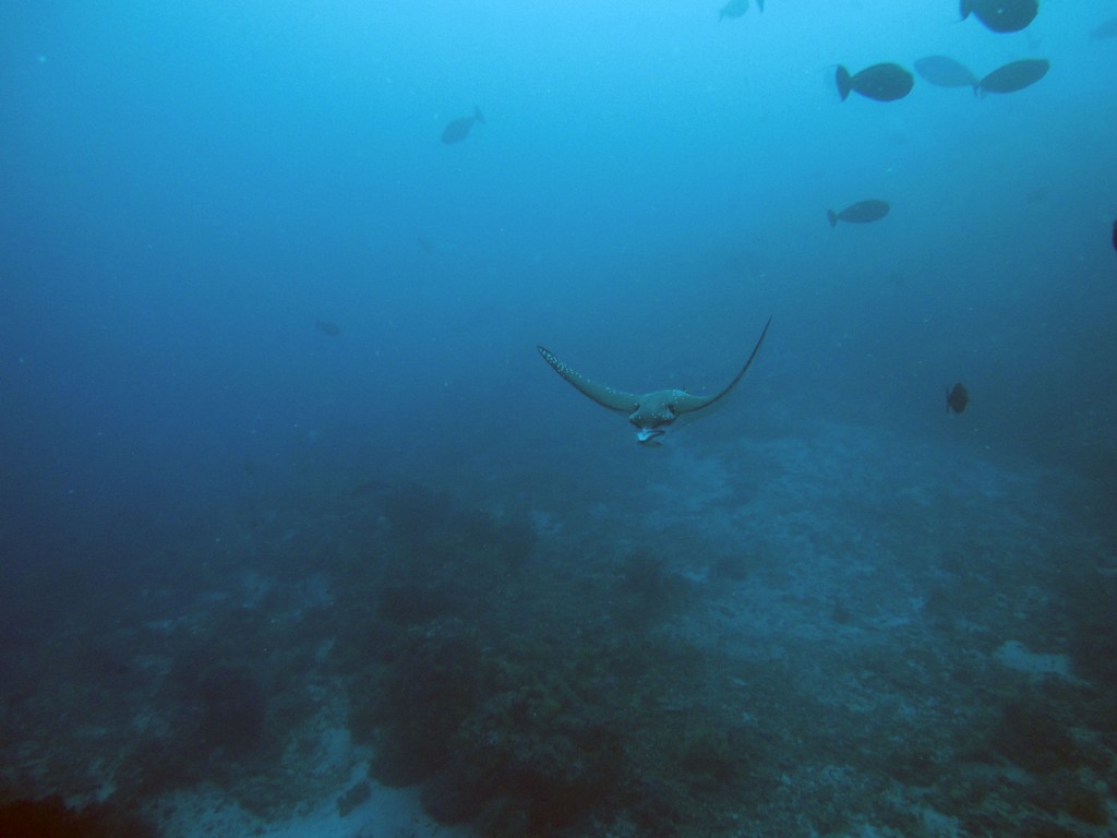 Мальдивы март 2011 Мальдивы март 2011