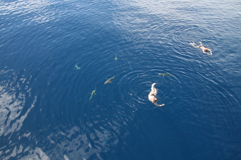 Палау_ноябрь 2010 Палау_ноябрь 2010