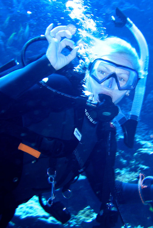 Сафари на дальний юг. Quick Shadow. Сафари на дальний юг. Quick Shadow.