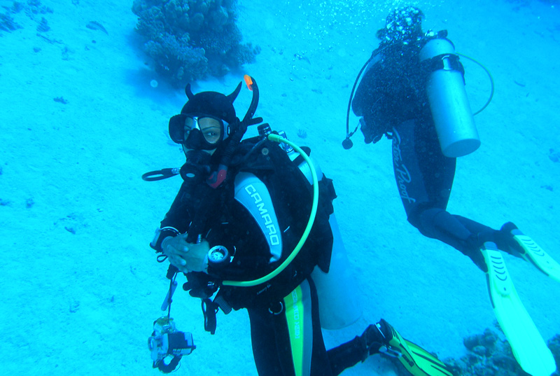 Сафари на дальний юг. Quick Shadow. Сафари на дальний юг. Quick Shadow.