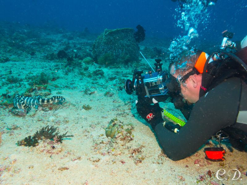 филиппины филиппины