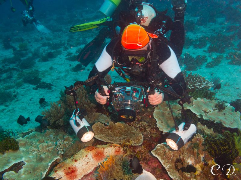 филиппины филиппины