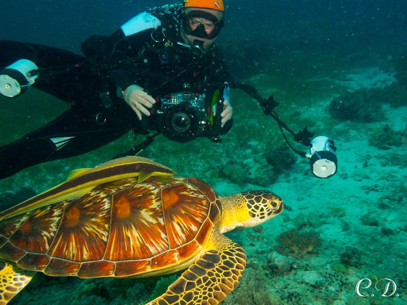 филиппины филиппины