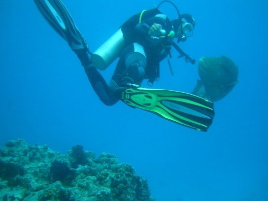 Поиграем? Поиграем?