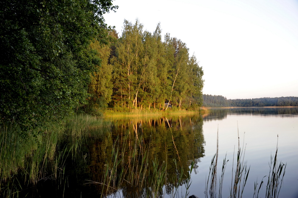 Озеро Белое 2012