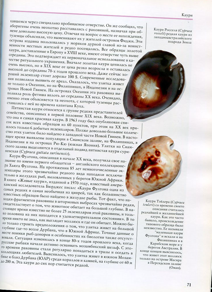 ершов7