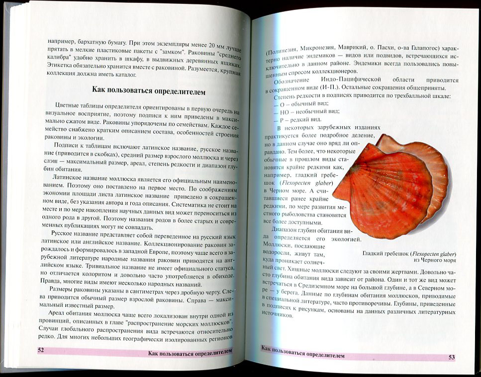кантор4