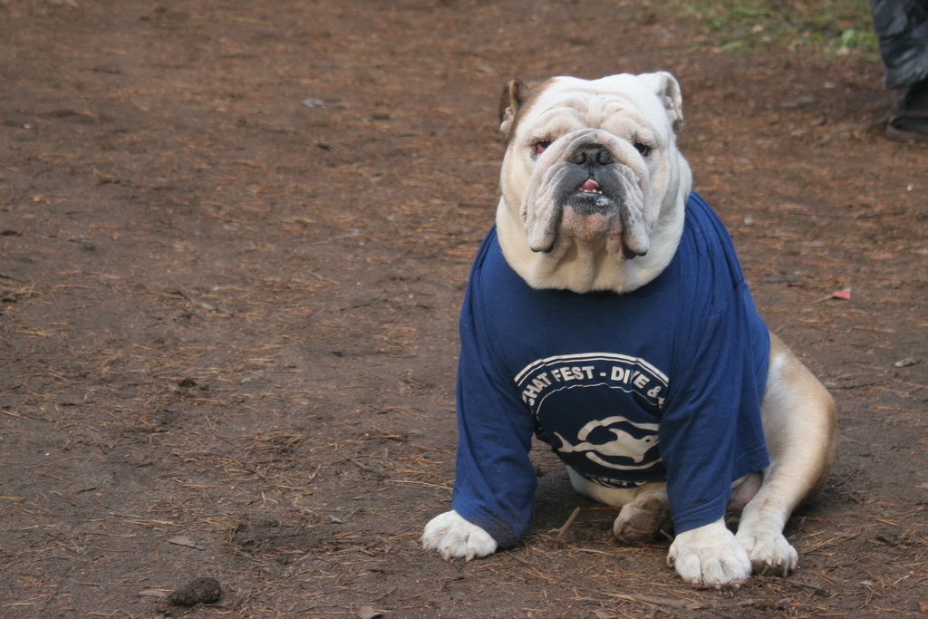 любимец детей любимец детей