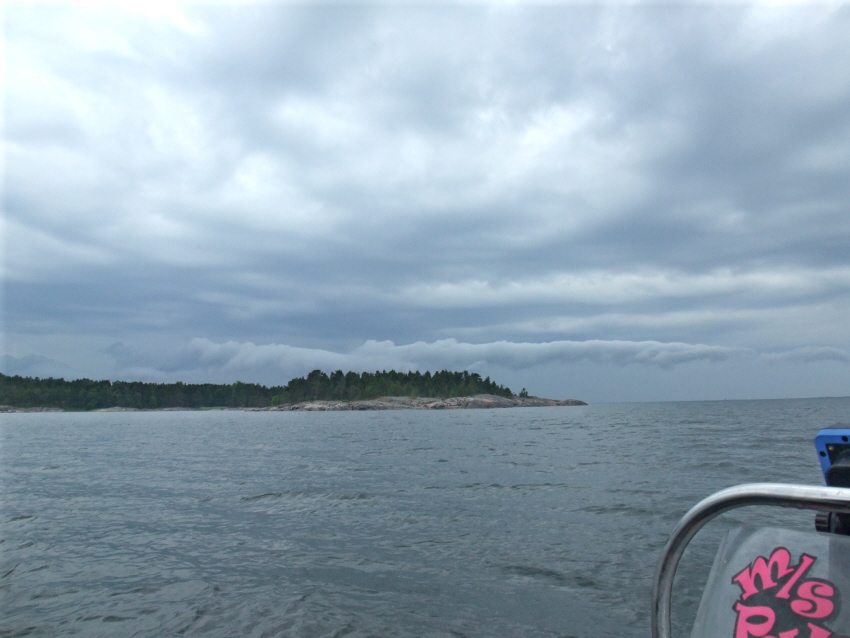 криль