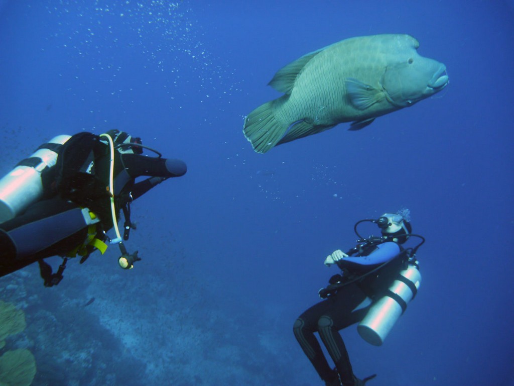 Бразерс 2012 Бразерс 2012