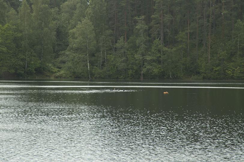 Авроровец, 14 июля 2012