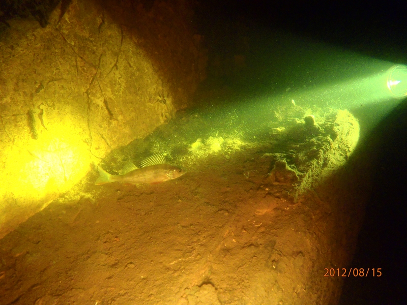 Ладога. Морской Охотник (Sea Hunter) авг.2012 Ладога. Морской Охотник (Sea Hunter) авг.2012