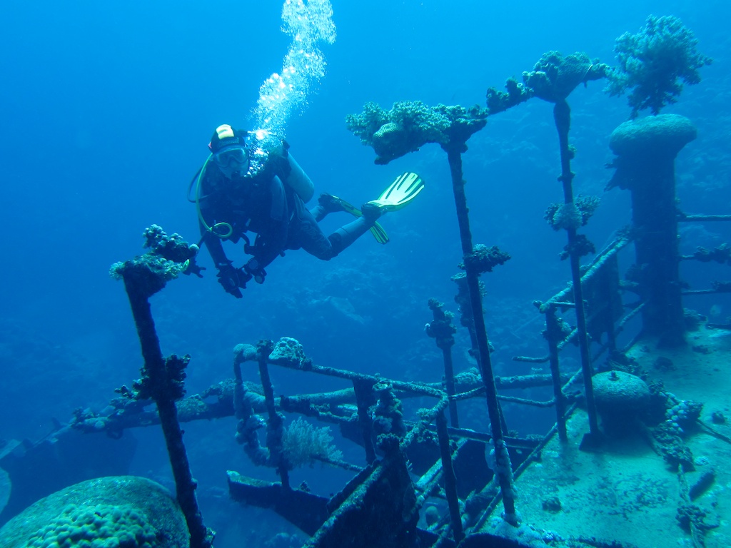 Египет - сафари, Большое Островное Путешествие Египет - сафари, Большое Островное Путешествие