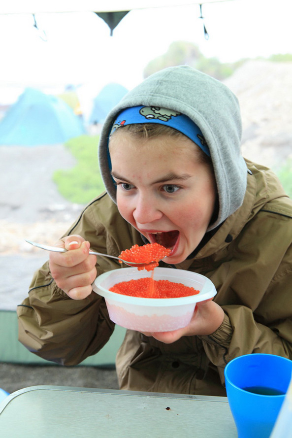 бдолж