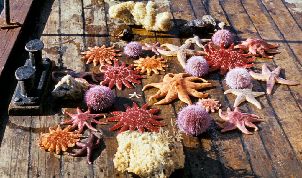 ДЗ МРБ ДЗ МРБ