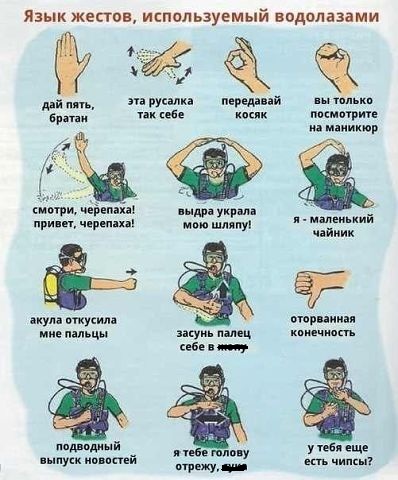 Жесты
