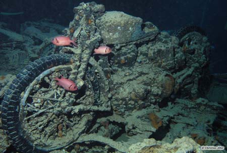 Север Север