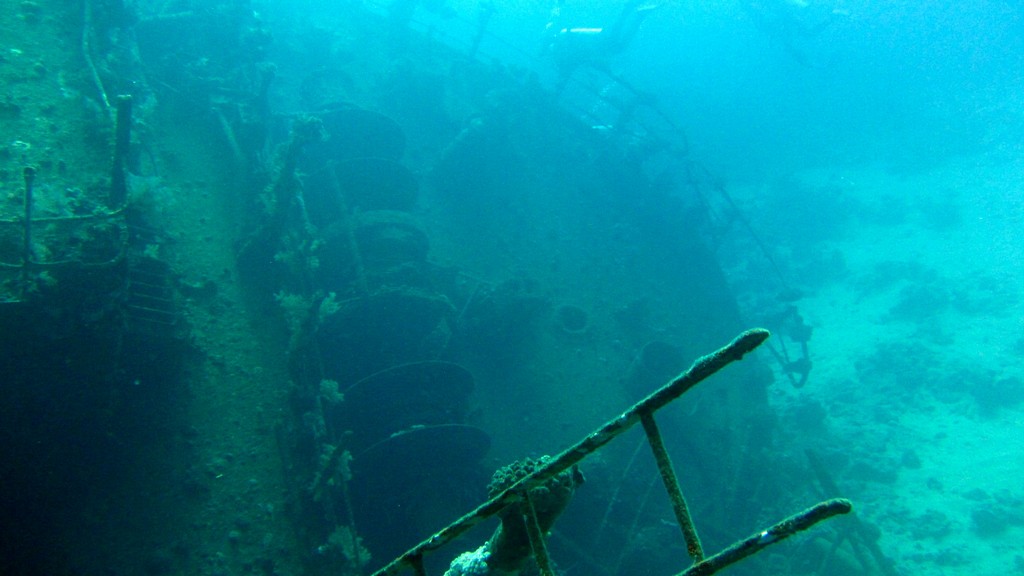 Северное сафари, март 2013 Северное сафари, март 2013