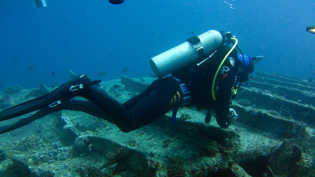 Северное сафари, март 2013 Северное сафари, март 2013