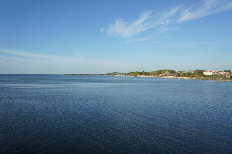 мекс