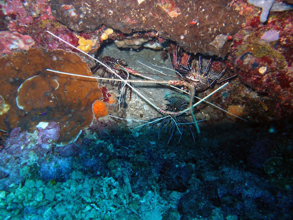 Индонезия_май 2013 Индонезия_май 2013