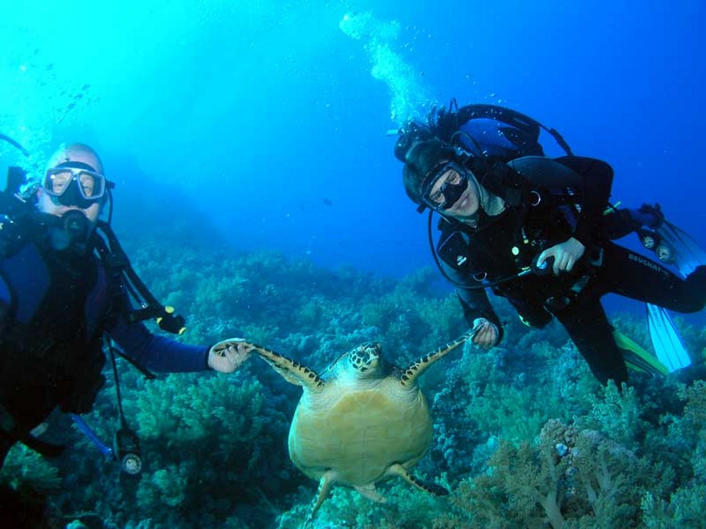 Братья 2013 Братья 2013