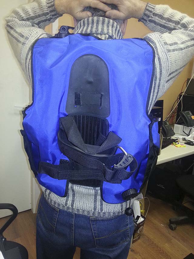 BCD1
